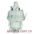   隔爆型 防爆 节能灯 BAD81-J42 LCIE IECEx PCEC 认证