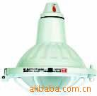  防爆灯 防爆金卤灯 BAD51-e 增安型防爆灯具 防爆 ATEX