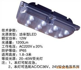  固态免维护LED泛光灯具 LED三防灯 LED吸顶灯 LED防爆灯