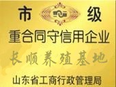 哪里有卖肉驴的？想养驴不知道前景怎么样？