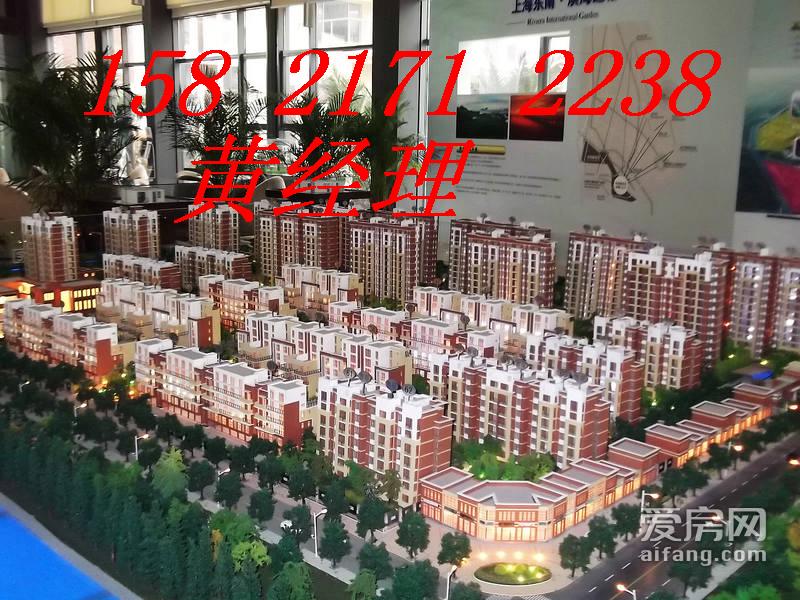 低总价首付30万起纯沿街旺铺-上海临港海滨国际花园