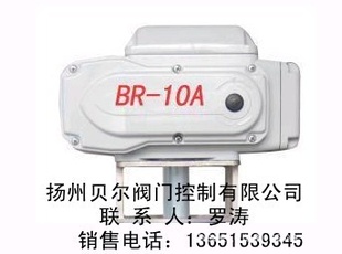 供应BR精小型电动执行器，BR-10,BR-05