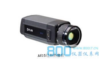 FLIR A615红外热像仪（红外自动化应用）