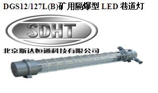 DGS12/127L(B) 隔型LED巷道灯爆