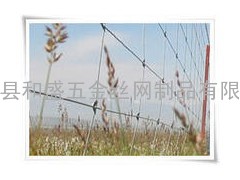 牛栏网 草原网 草原护栏网 环扣型草原网 环绕型草原网 牧场防护网 镀锌钢丝网