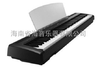 YAMAHA P95B/p95/雅马哈/原装正品/雅马哈P95B ￥:1850