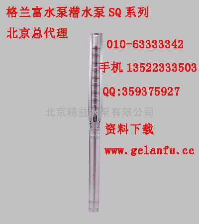 格兰富水泵天津代理SQ 2-100泵出口:RP 1