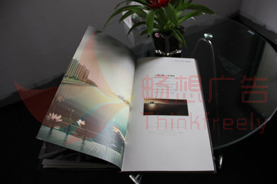 芜湖招商手册,招商画册设计印刷在芜湖畅想广告
