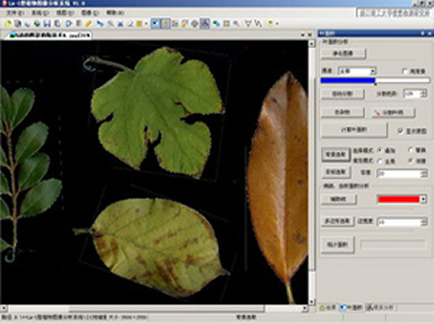 全能型植物图像分析仪系统  LA-S