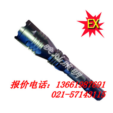 BXD6026.全方位防爆电筒BFC8120上海直销