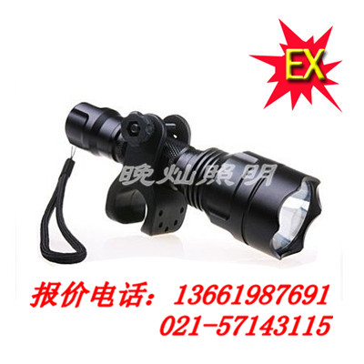  BXD6023防爆强光手防卫电筒JW7620上海售