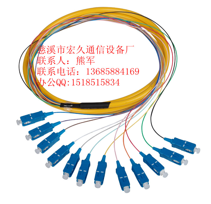 SC12芯束状尾纤、贵阳批发、FC12芯束状尾纤