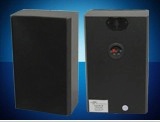 供应AZY-600豪华黑色同轴木质壁挂扬声器、会议音箱、教室音箱