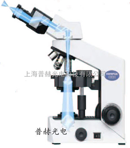 生物显微镜CX21 奥林巴斯显微镜CX21