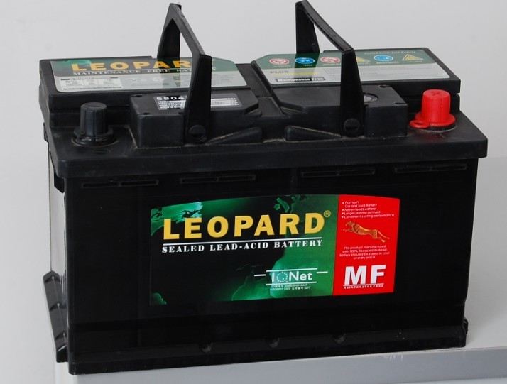  美洲豹（LEOPARD）汽车免维护蓄电池58043