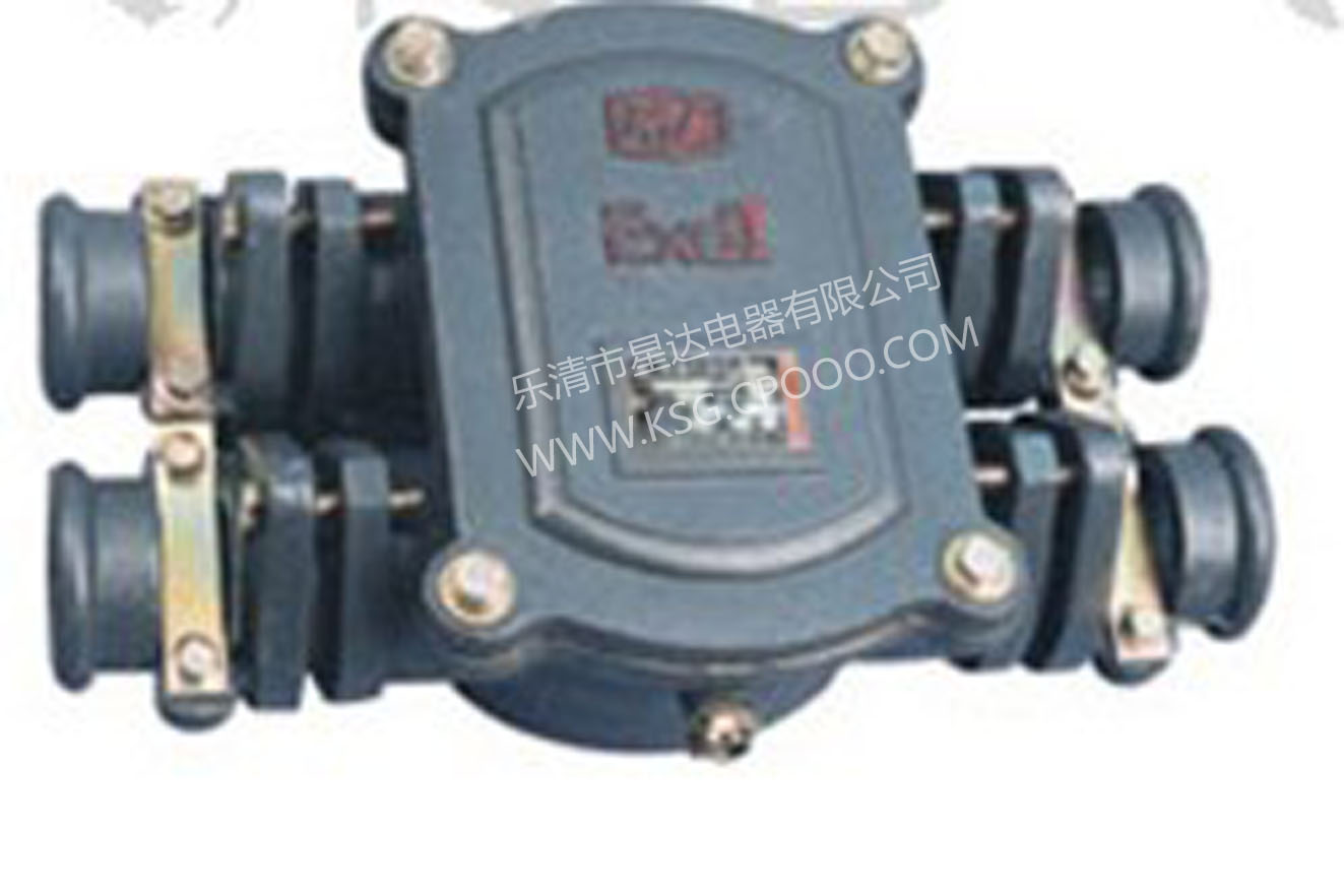 BHD2-100-4T/3T 矿用隔爆型接线盒