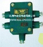 LJB矿用本安型电路接线盒10对/JHH-13矿用本安型接线盒