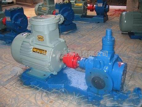 YCB15/0.6型圆弧齿轮油泵