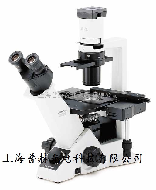 奥林巴斯倒置显微镜CKX31 奥林巴斯CKX31显微镜