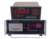 WZC-54/WZC-54A直管接头式热电阻 温度巡检仪 多路温控仪 西安