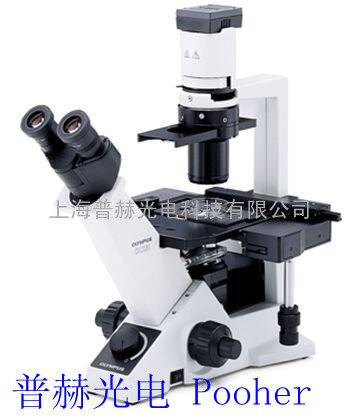 奥林帕斯CKX41显微镜 临床倒置显微镜CKX41