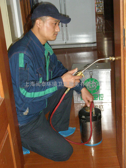 上海害虫防治公司