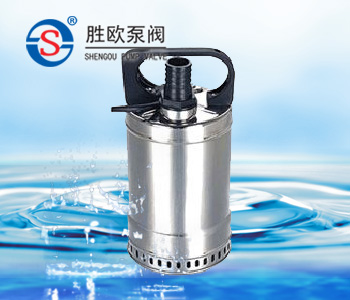 微型不锈钢潜水泵