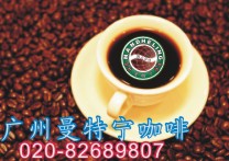 广州新鲜烘焙咖啡豆批发零售/蓝山咖啡豆、哥伦比亚咖啡批发零售