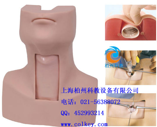 气管切开插管训练模型，气管切开插管模型