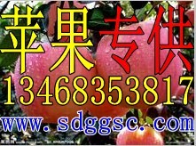 2012年红富士苹果价格行情/市场批发价格行情/今日苹果价格