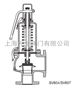 斯派莎克碳钢SV604安全阀 球墨铸铁SV607安全阀