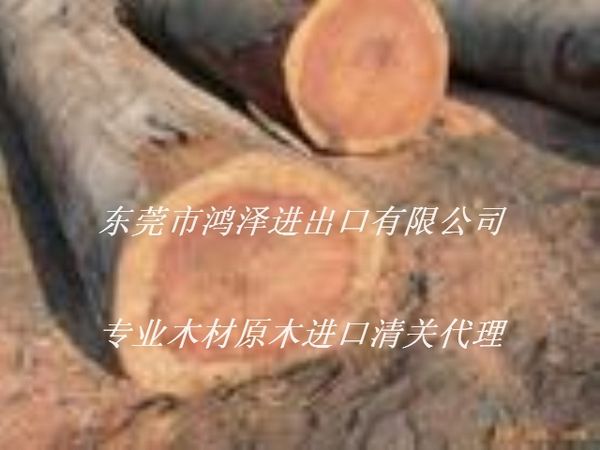 喀麦隆巴花一般贸易广东进口报关清关公司