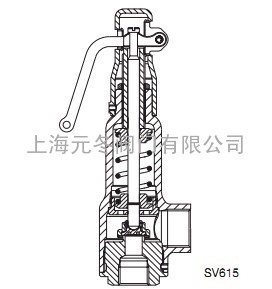 斯派莎克青铜SV615安全阀