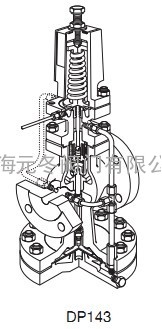斯派莎克铸钢DP143减压阀