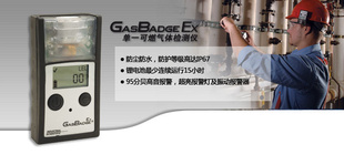 供应EX(GB90)型便携式可燃气体检测仪