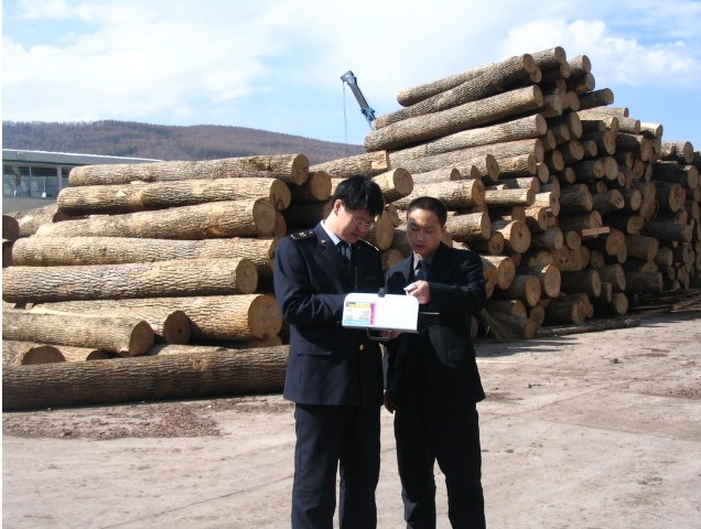 欧洲木材进口代理报关手续