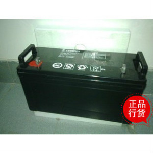 UPS电池 阀控式密封免维护铅酸蓄电池12V65AH 冠军蓄电池 NP65-12