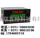 WP-H803-01-A-HL控制仪 香港上润 福建上润 选型 参数 说明书 WP-H803-01-