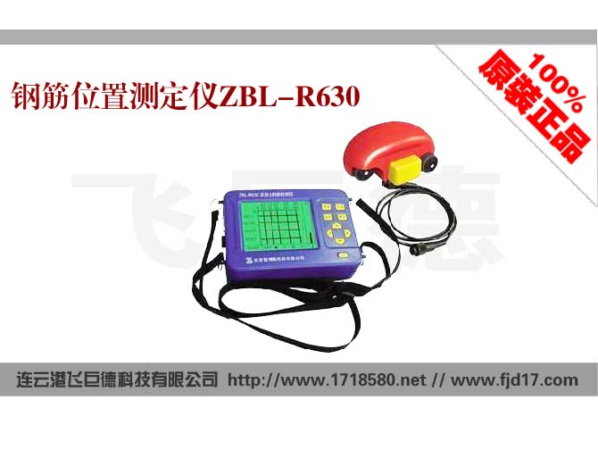 连云港钢筋定位仪ZBL-R630|钢筋位置厚度检测仪