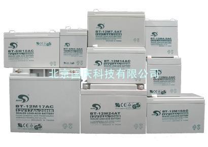 安徽省池州市赛特蓄电池12V38AH（图）产品报价