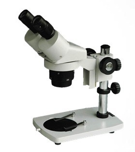 XTJ4600实体显微镜