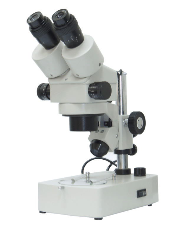    XTL-2000体视显微镜