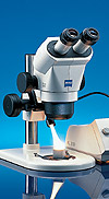 	Stemi 2000蔡司立体显微镜