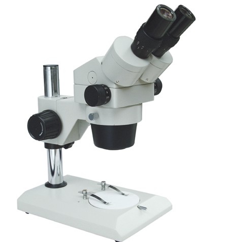 XTL-300实体显微镜