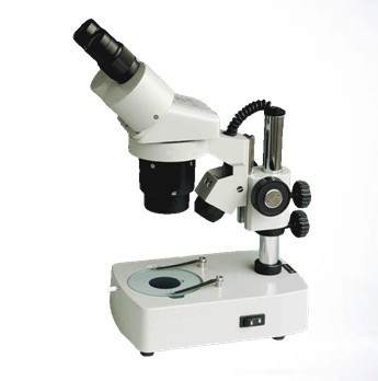 XTJ4400体视显微镜