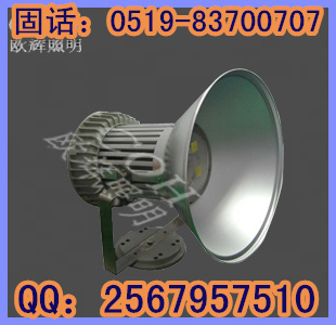 NTC9220 LED防震投光灯