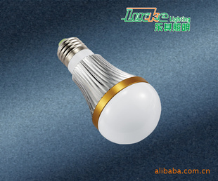 乐其照明厂家供应 E27(5W)LED球泡，可内销外销，多种款式可选