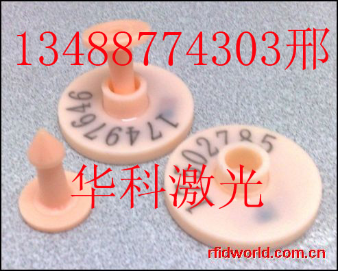 北京耳标编码激光雕刻，北京耳标防伪激光雕刻，北京耳标激光刻字，