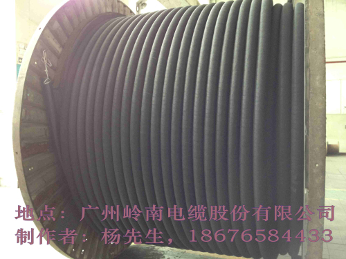 惠州电缆，梅州电缆，湛江电缆，茂名电缆，揭阳电缆，潮州电缆，阳江电缆，江门电缆