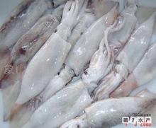 批发进口冷冻尤鱼、带鱼、火锅料及肉丸